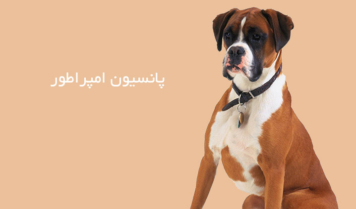 پانسیون امپراطور